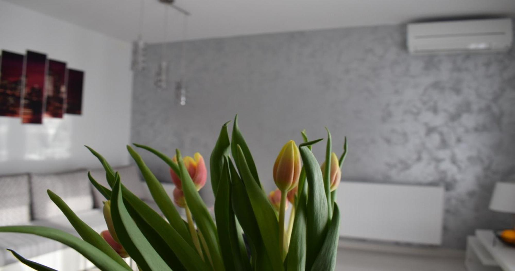 Kras Apartmani Foresta מראה חיצוני תמונה