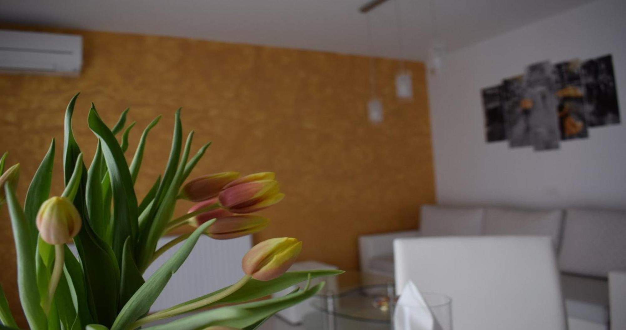 Kras Apartmani Foresta מראה חיצוני תמונה